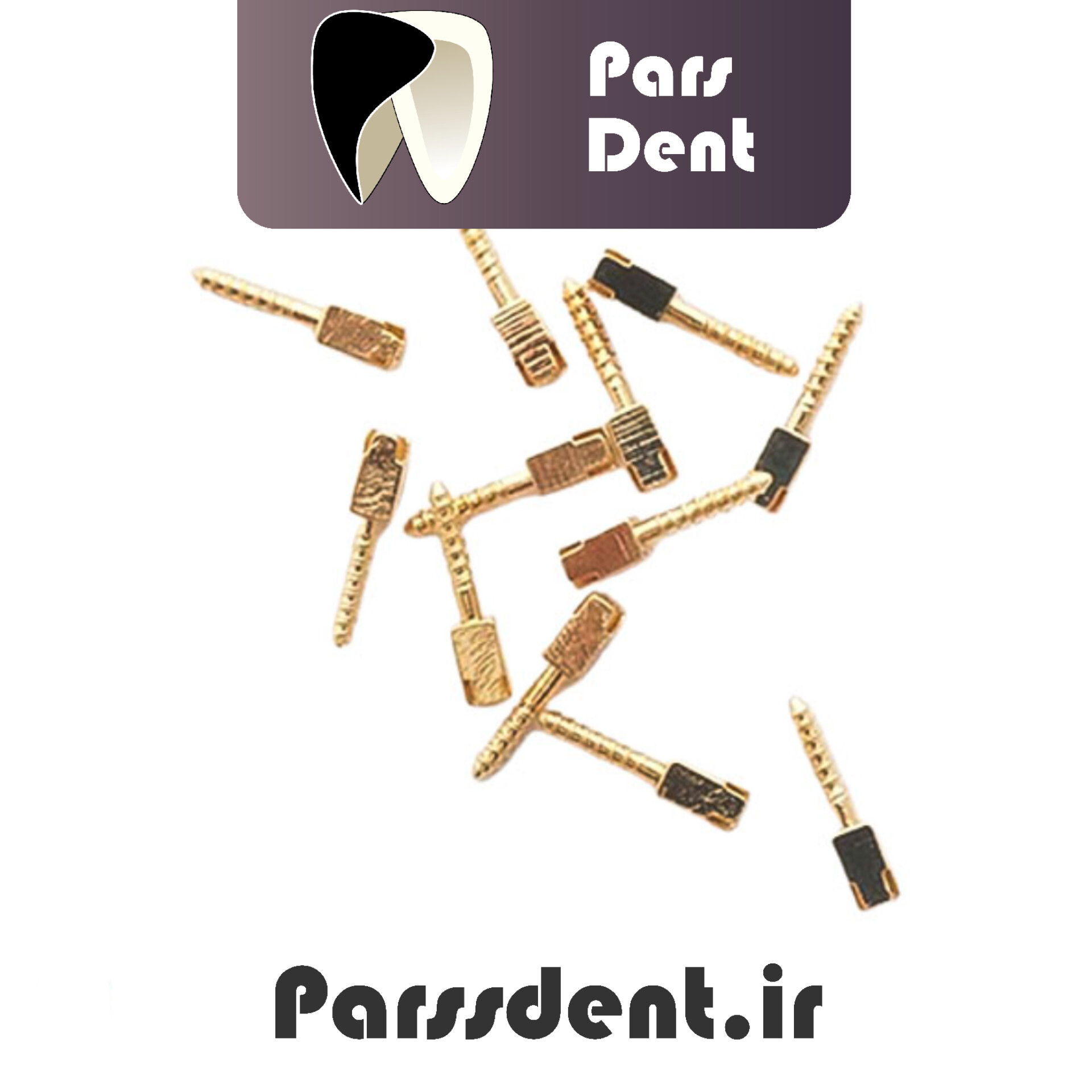 پین داخل کانال برنجی Screw Post Golden