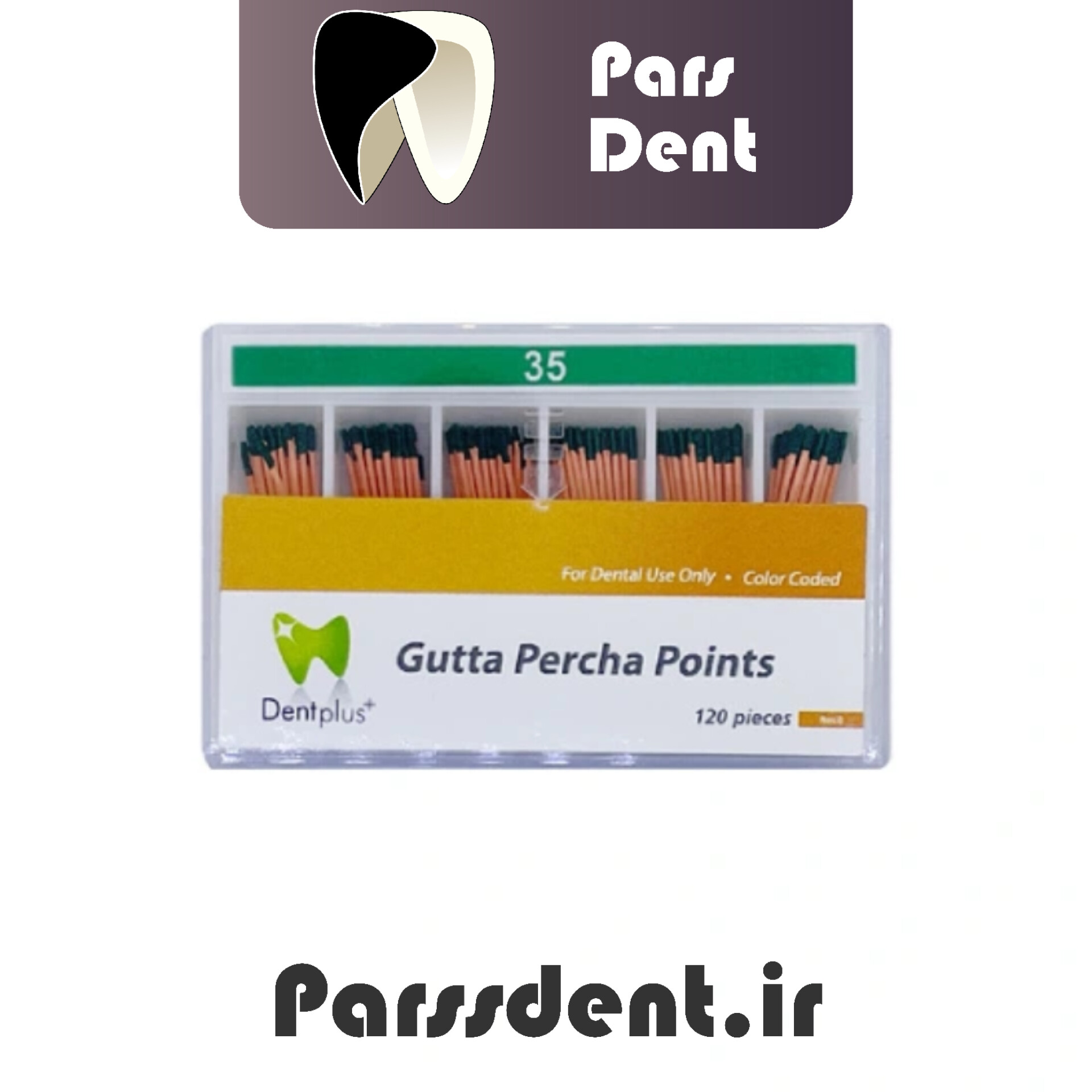 گوتا پرکا دنت پلاس Dent Plus